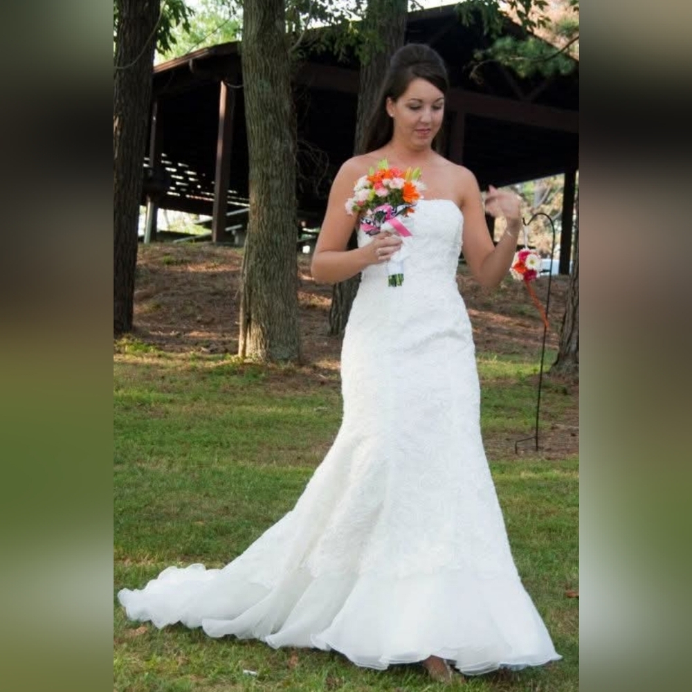 Size 10 wedding dress Davids Bridal